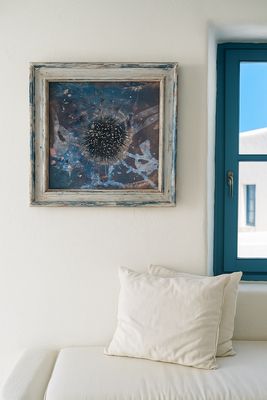 Malva Seaurchin