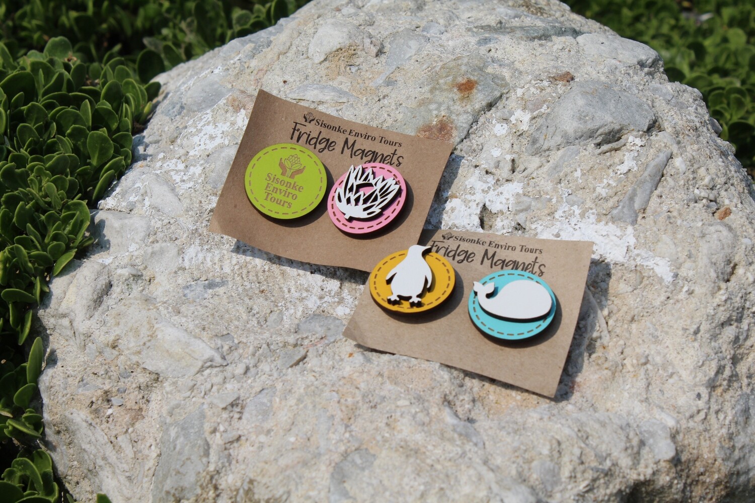 Fridge Magnets