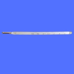 Oral Mercury Thermometer