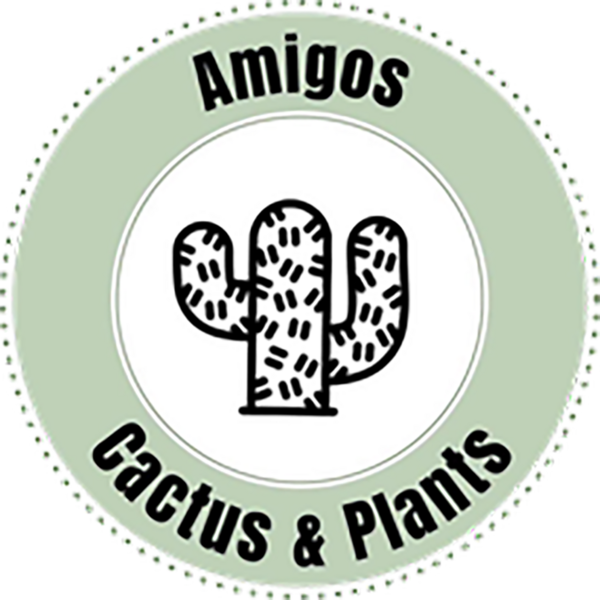 Amigos Cactus & Plants