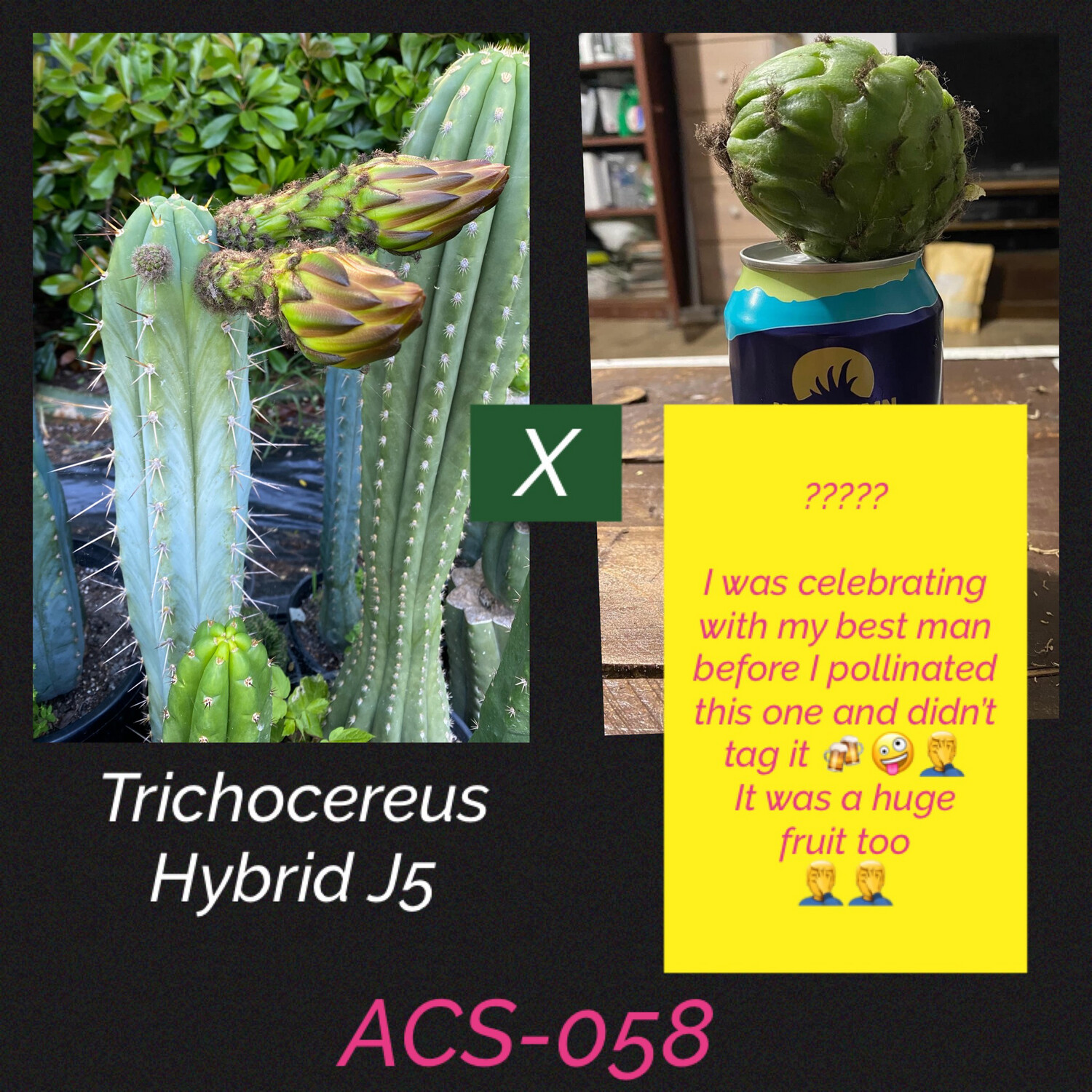 ACS-058: J5 x ????
