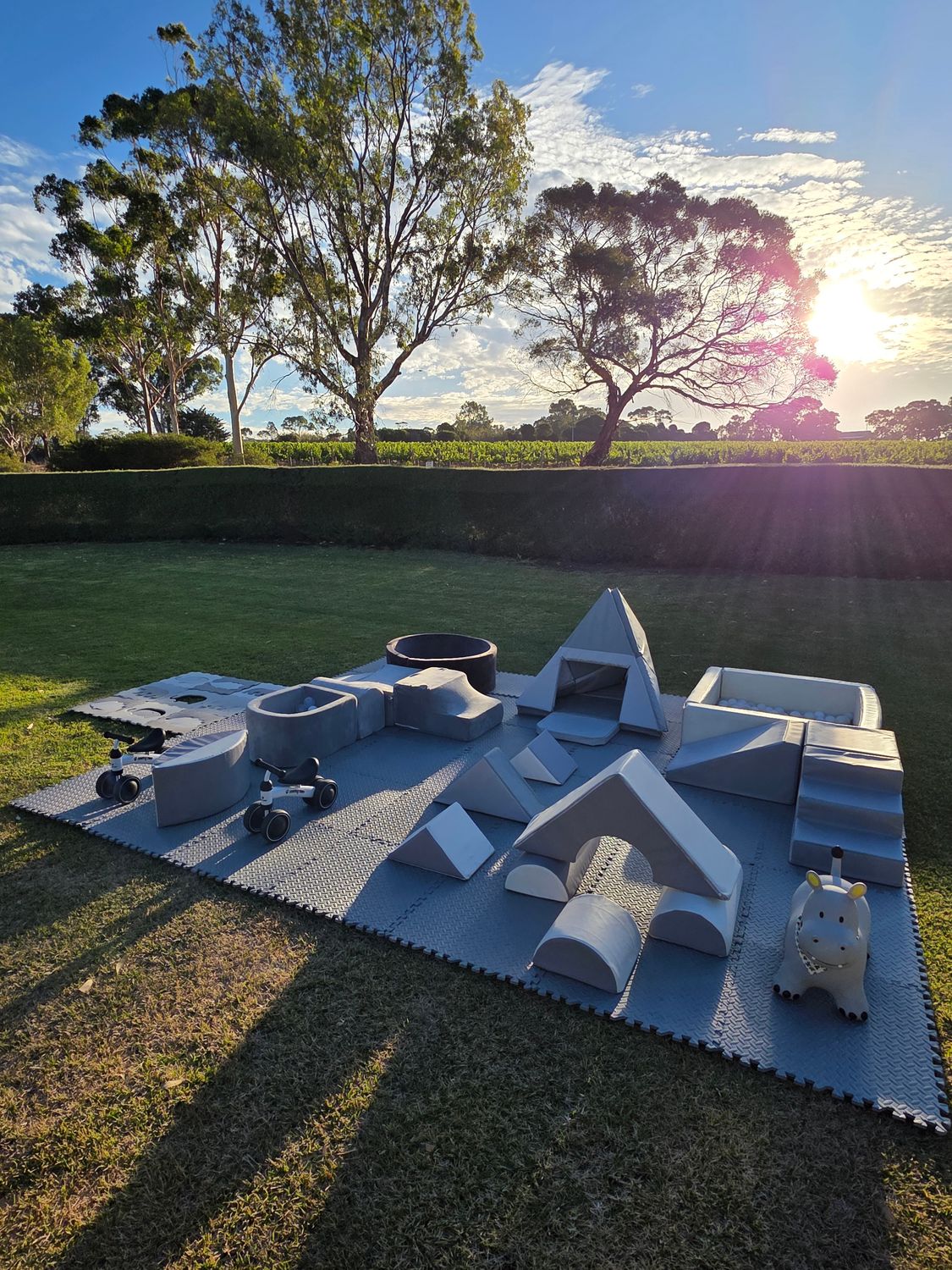 Shades of Grey Softplay Package