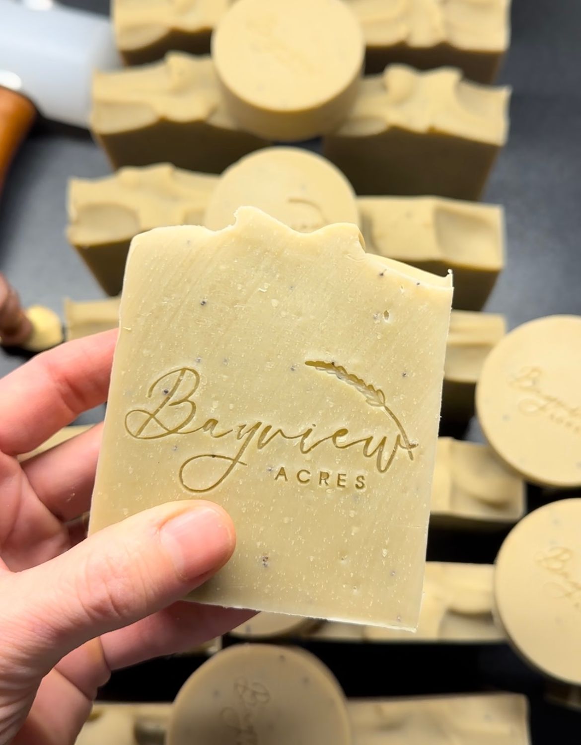Yogi Soap