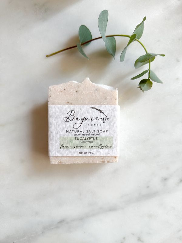 Eucalyptus Salt Soap
