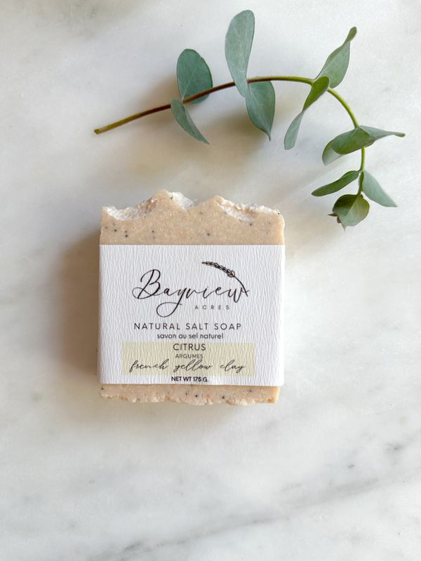 Citrus Salt Soap