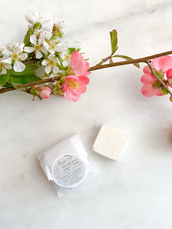Eucalyptus, Sage + Mint Shower Steamer Single