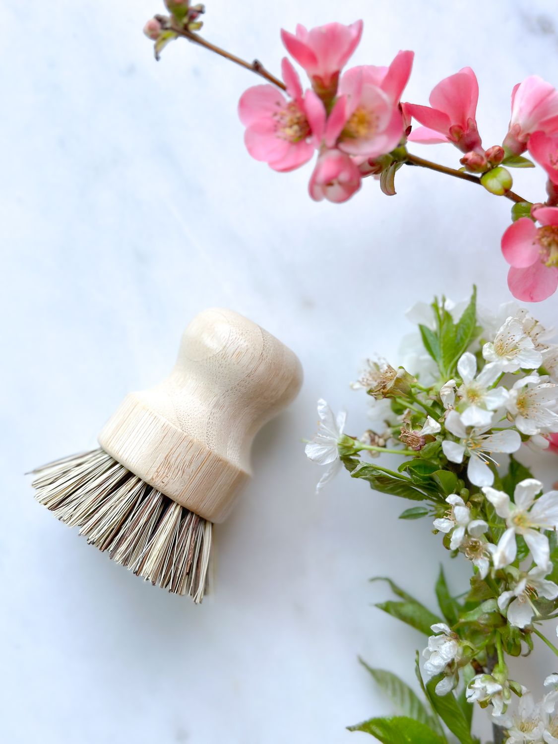 Palm Bristle Bamboo Dish Brush