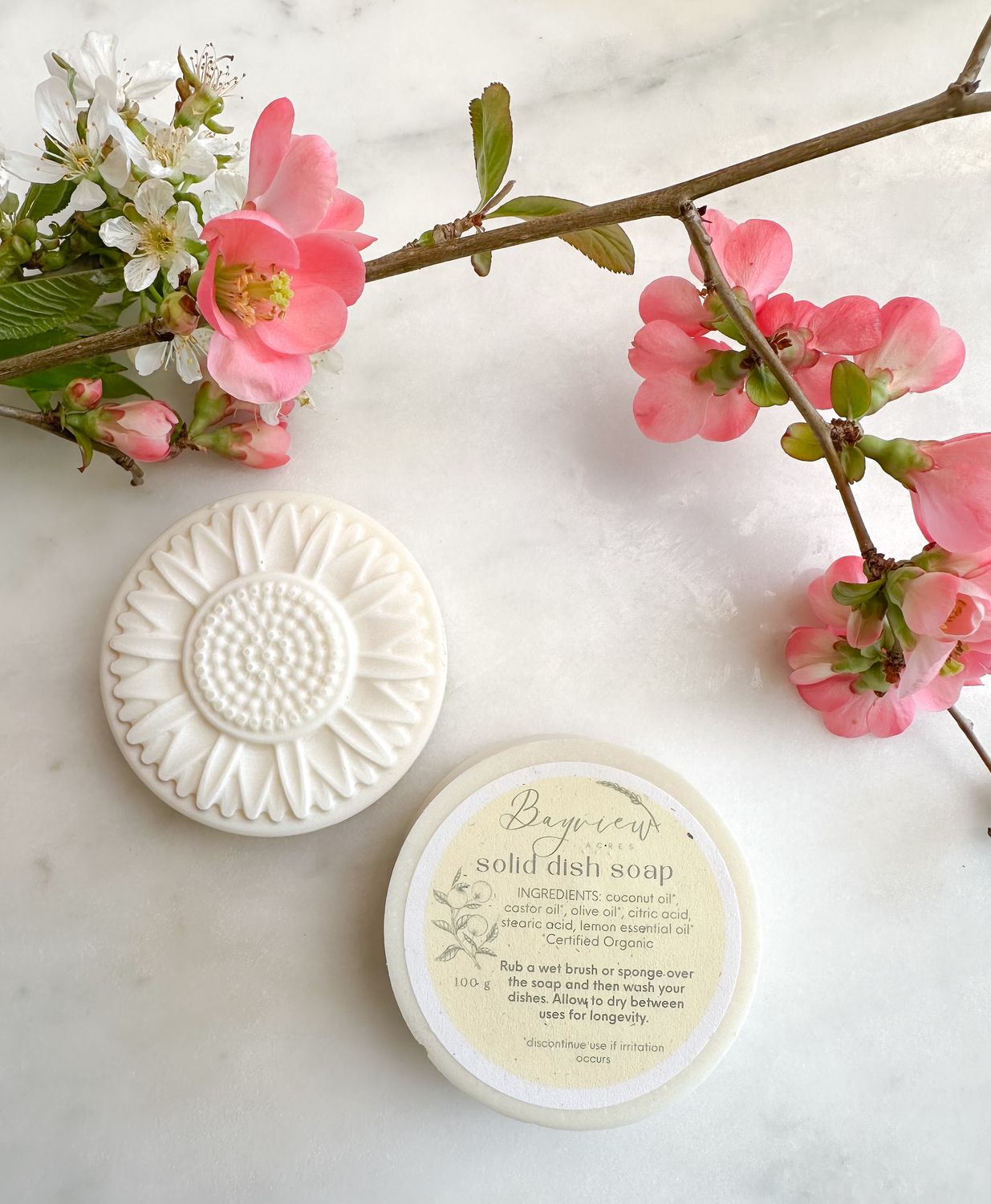 Solid Dish Soap Refill