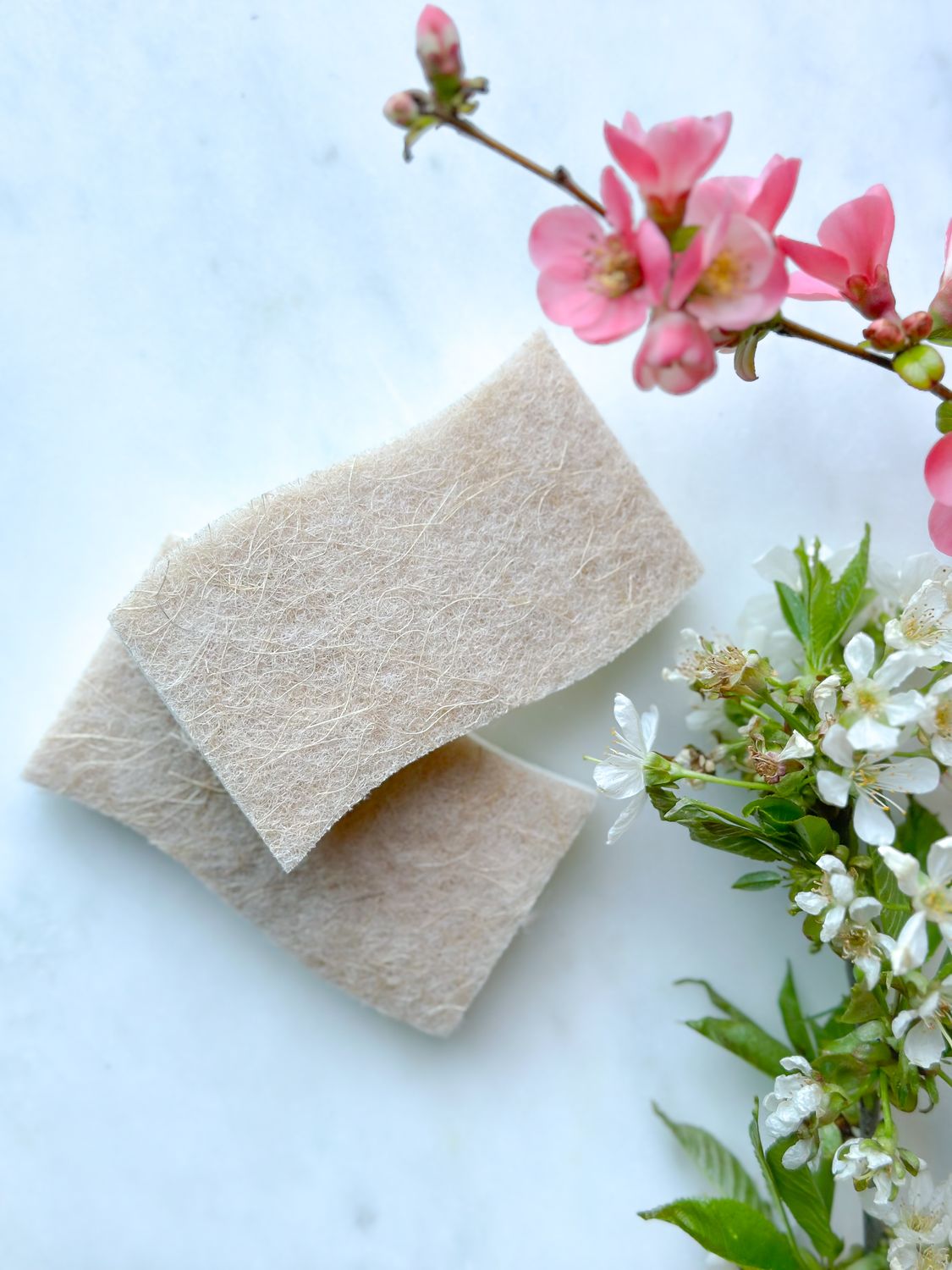 Eco Sponge