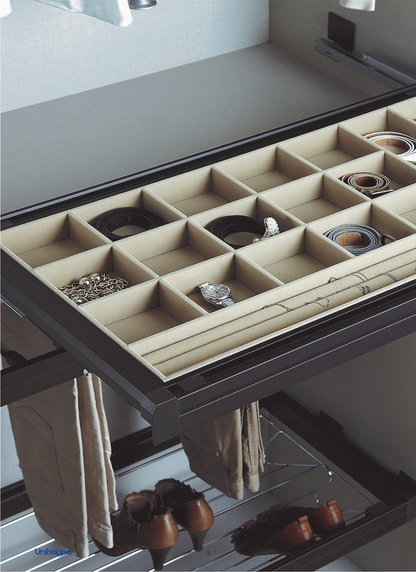 Wardrobe Fitting - Pull Out Jewelry Tray