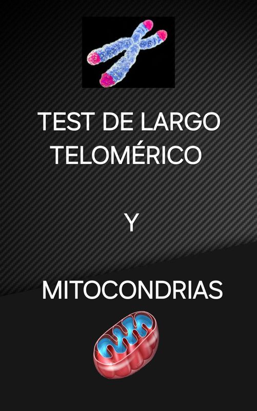 1 Test de Largo Telomérico  + 2 test de cantidad y oxidación de Mitocondrias