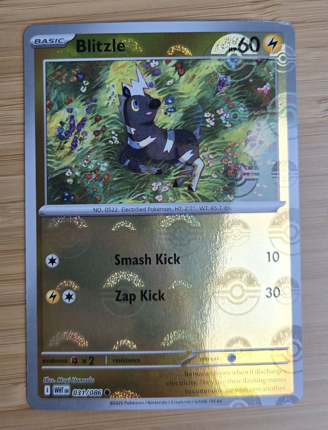 Blitzle (Pokeball) - 031/086 - White Flare - NM