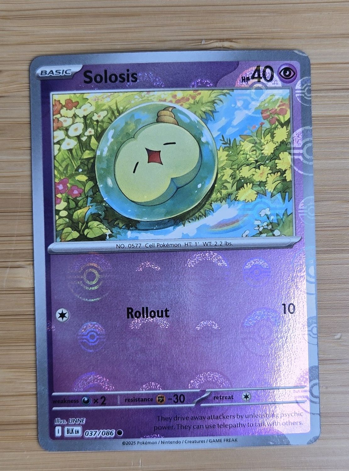Solosis (Pokeball) - 037/086 - Black Bolt - NM Solosis (Pokeball) - 037/086 - Black Bolt - NM