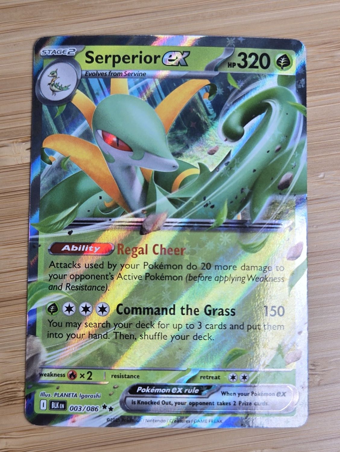 Serperior EX - 003/086 - Black Bolt - NM
