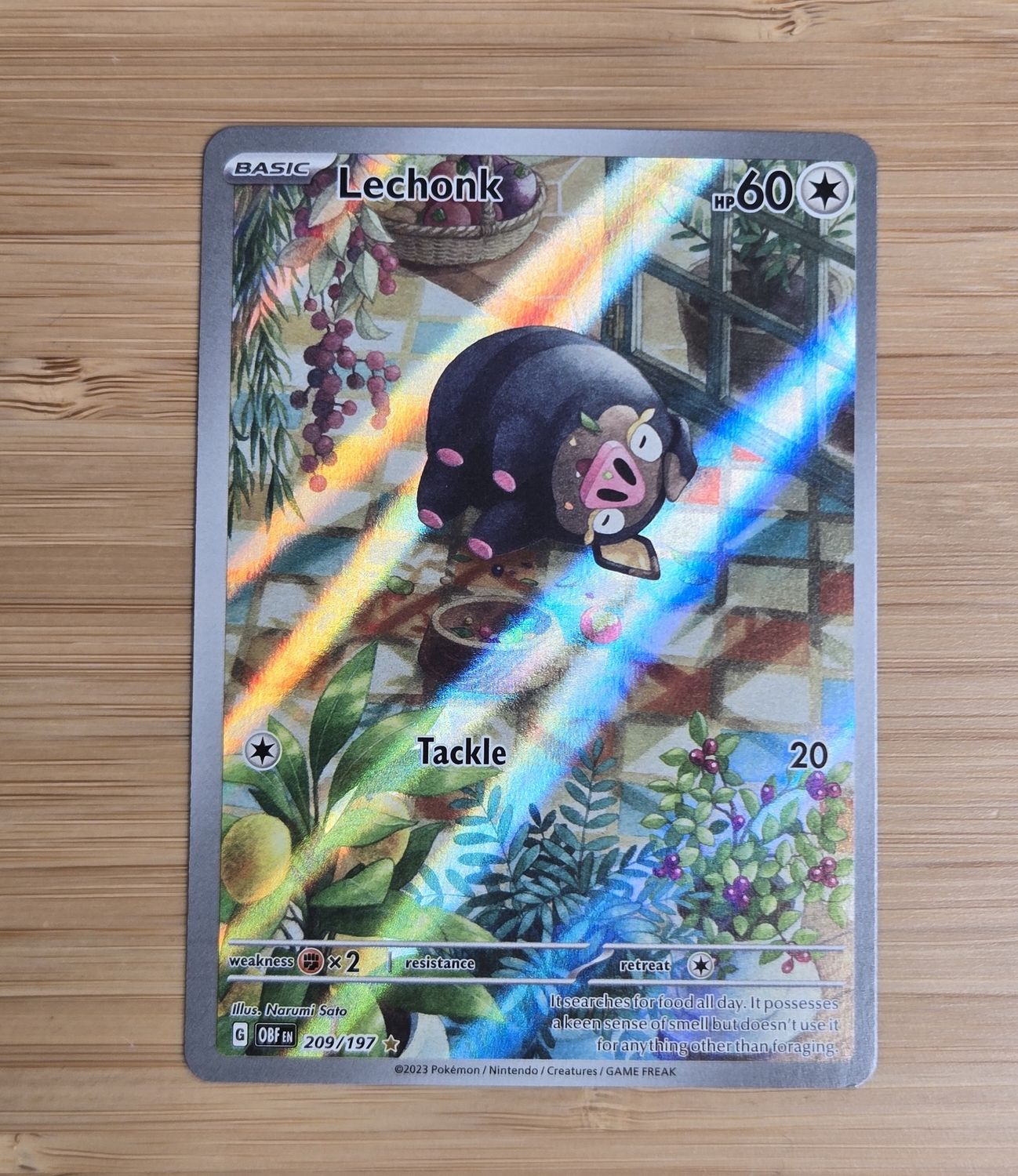 Lechonk - 209/197 - Obsidian Flames - NM