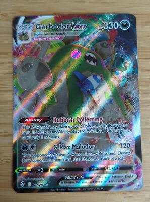 Garb0dor Vmax - 101/203 - Evolving Skies - NM