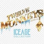 Twelve Monkeys Iced FREEBASE (excise)