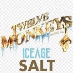 Twelve Monkeys Iced SALT (excise)