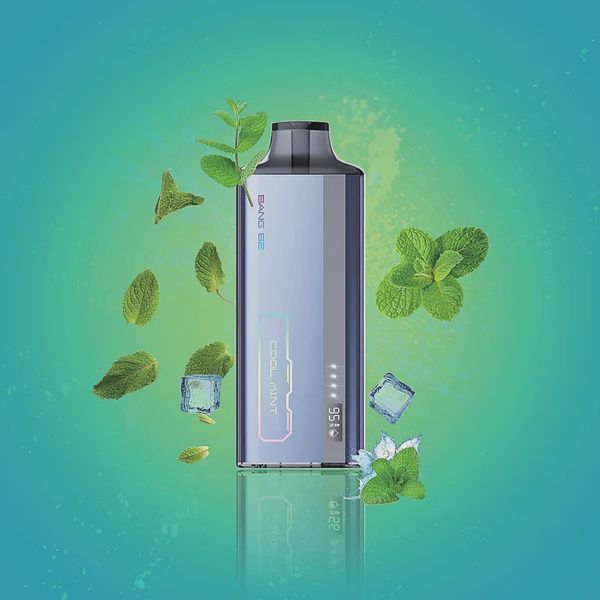 BANG B2 Disposable, Flavour: Cool Mint