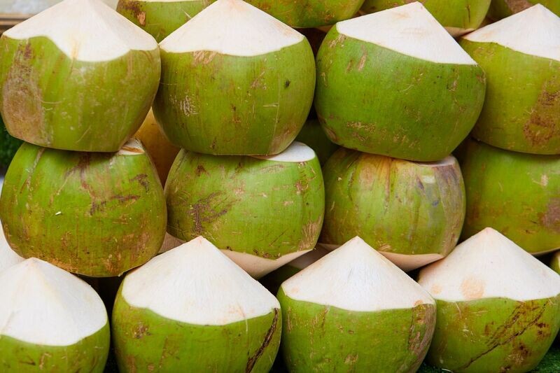 Wholesale Green Coconuts