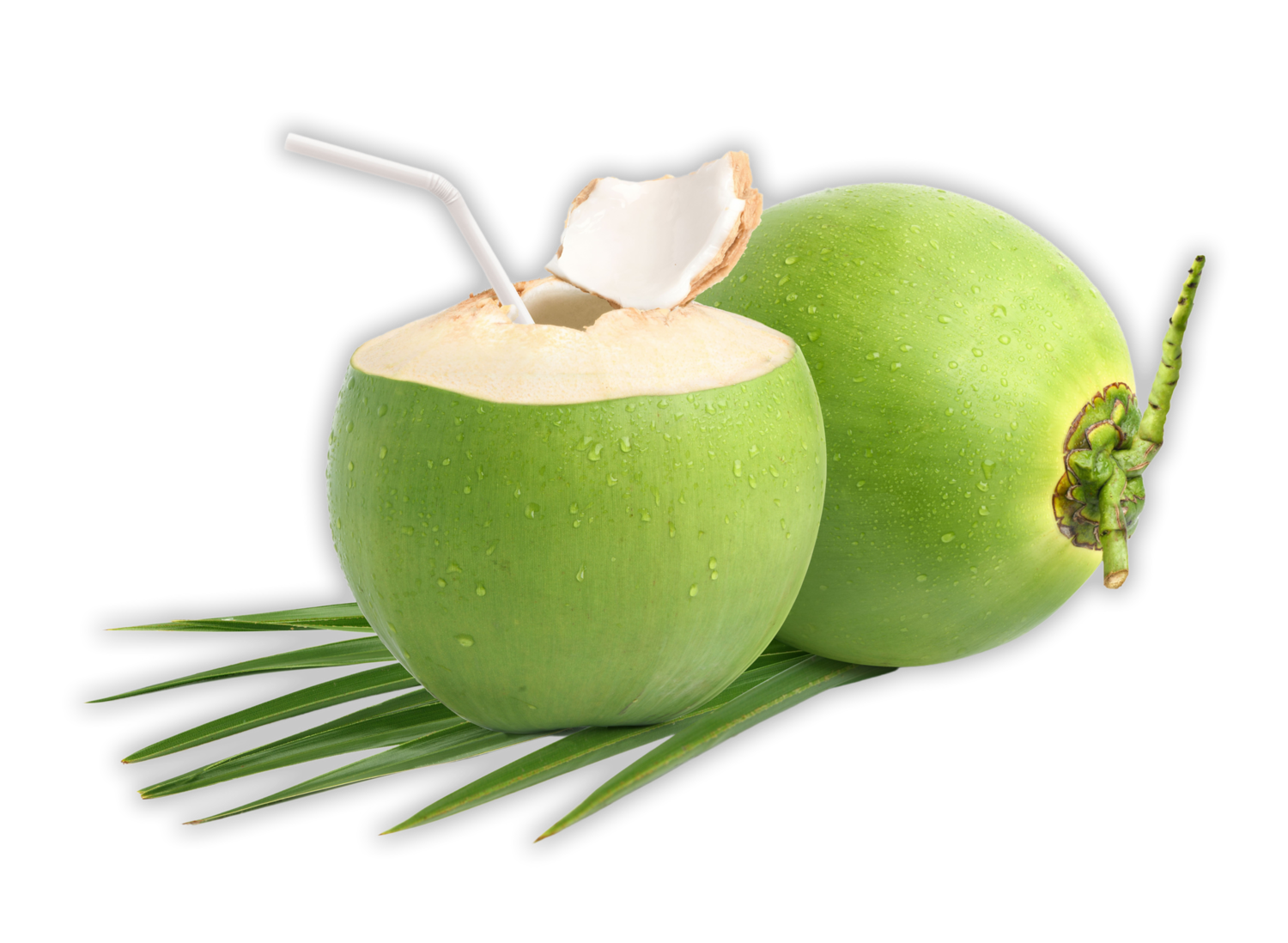 Green Jelly Coconut