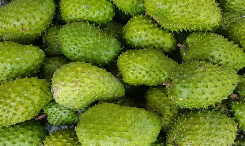 Wholesale Soursop