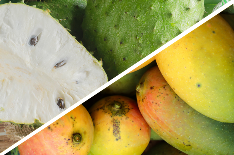 Soursop Mango Mix (Med)