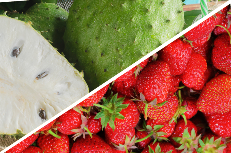 Soursop Strawberry Mix (Med)