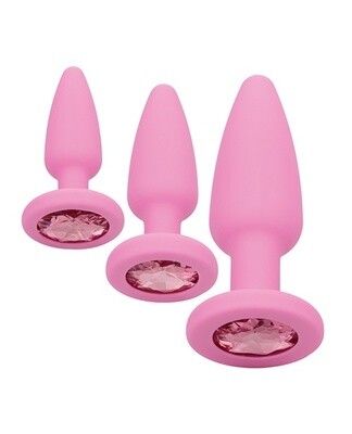 First Time Crystal Booty Kit Silicone Probes