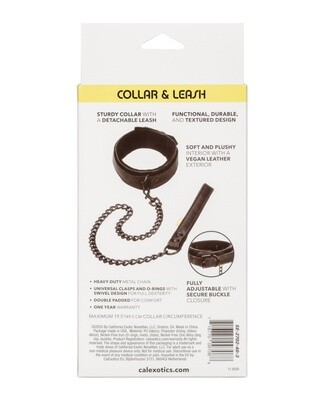 Boundless Collar &amp; Leash