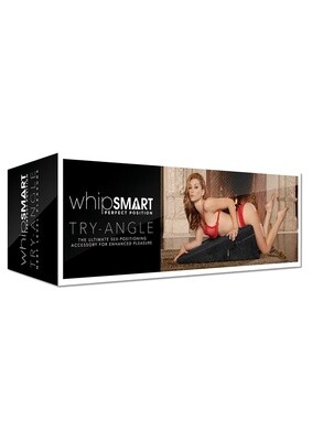 Whipsmart Try-Angle Cushion