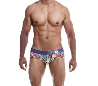 Hipster Fun Brief