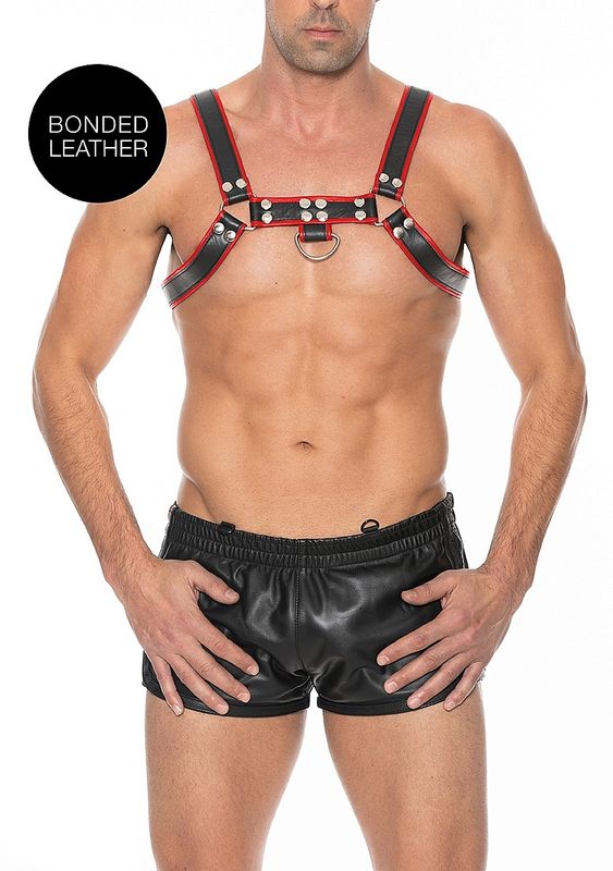 Bulldog Chest Harness