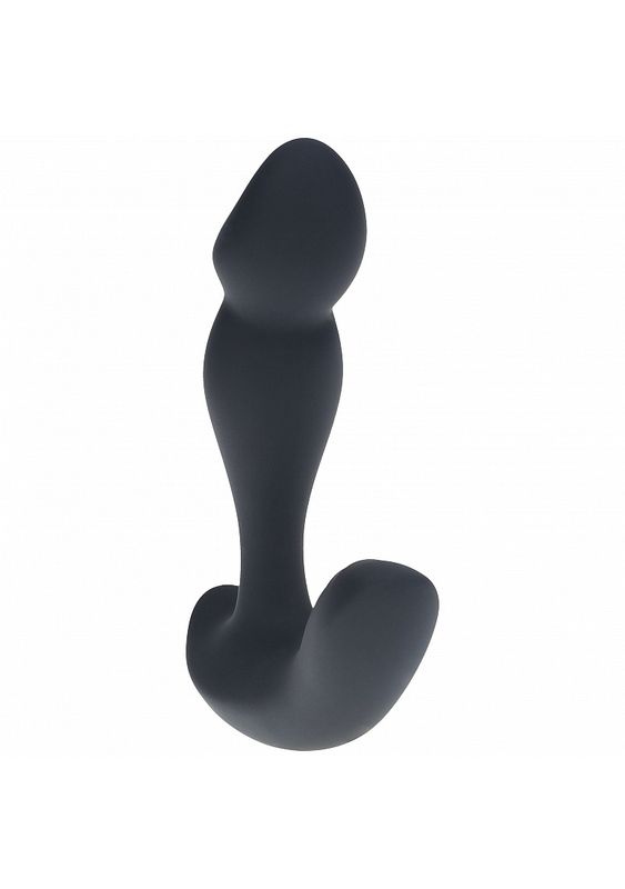 LEVELZ  Dual Motor Remote Control Vibrating Prostate Stimulator