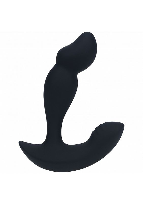 LEVELZ  Dual Motor Remote Control Vibrating Prostate Stimulator