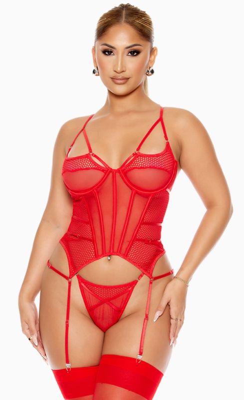 Caught Up O-Net Bustier Set