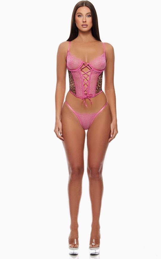 Animal Instincts Sheer Mesh Bustier Lingerie Set