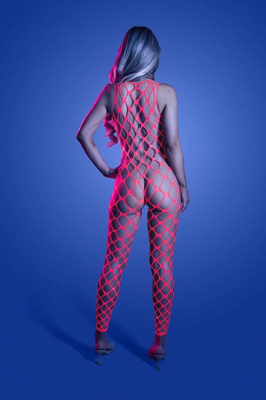 Want It All Reversible Rhinestone Bodystocking &amp; Pasties