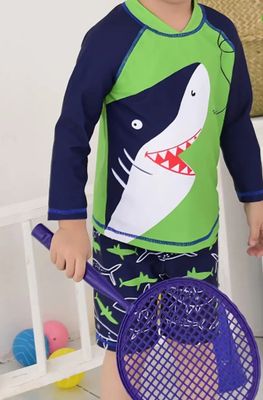 Boys shark swimsuit