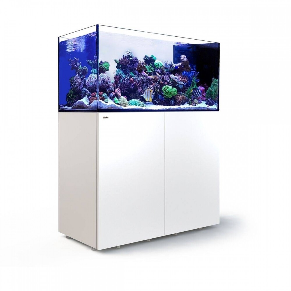 Red Sea REEFER Peninsula 500 G2+