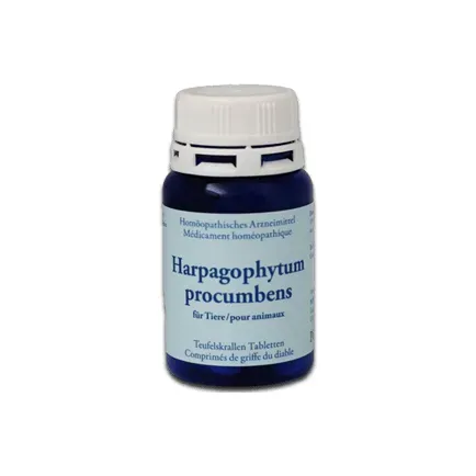 Teufelskralle - Harpagophytum procumbens