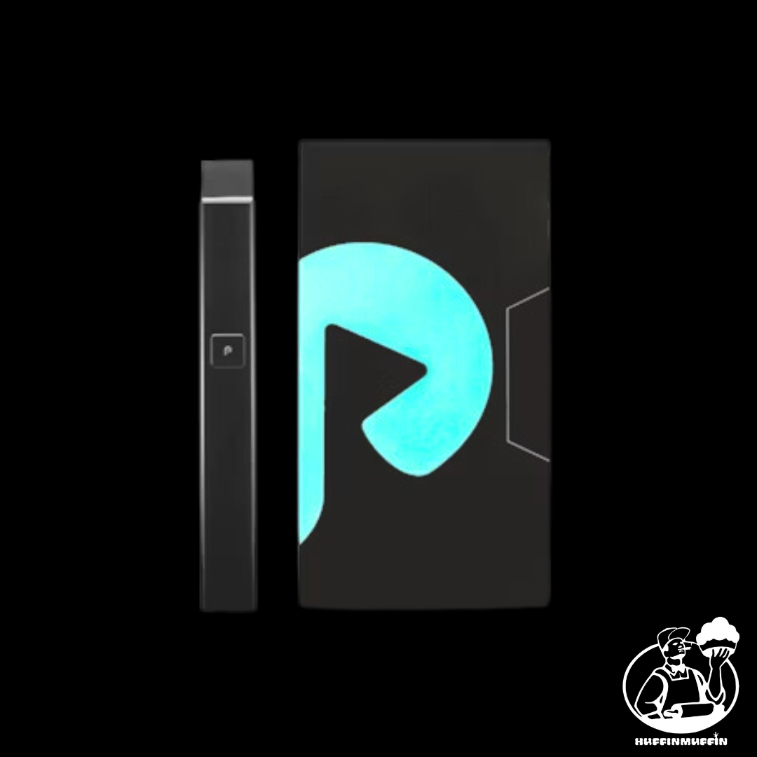 PLUGPLAY Battery, Color: Original (Black)
