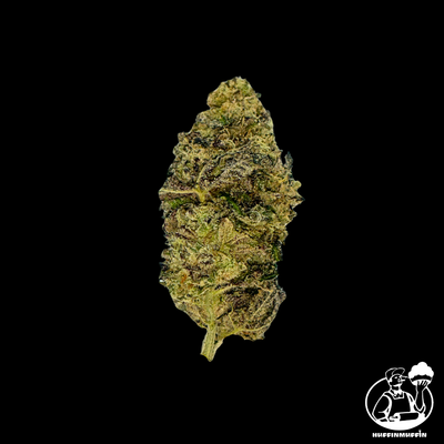 Peanut Butter Breath (H) MAINE