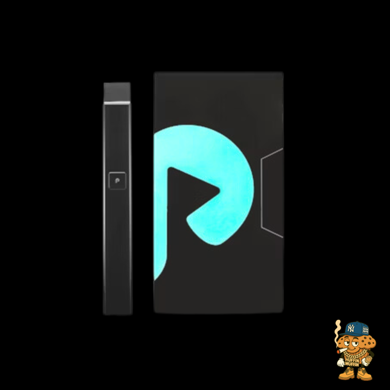 PLUGPLAY Battery