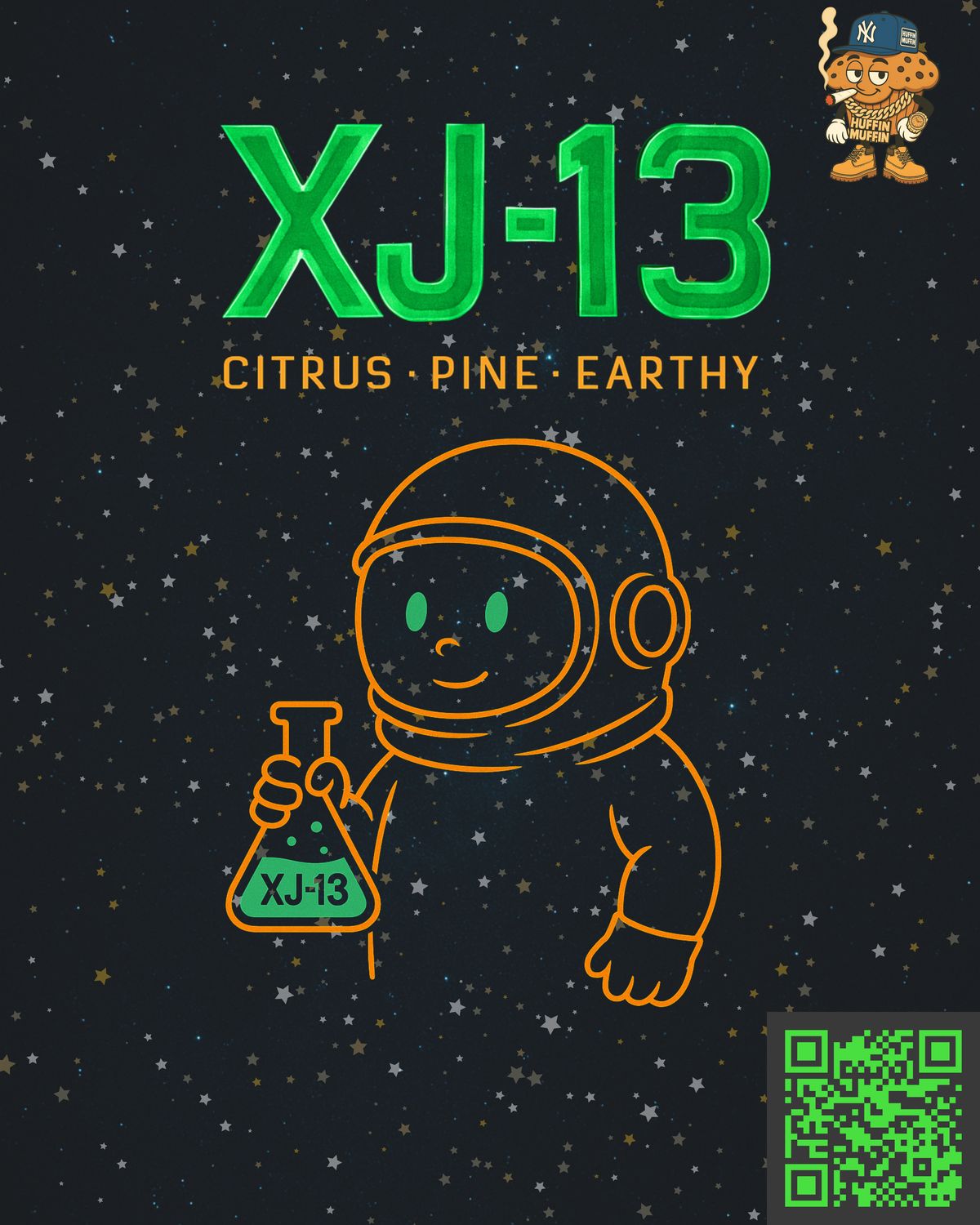 XJ-13 (S)