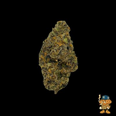 Permanent Marker (I/H)