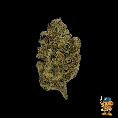 Skittles Bomb Pop (S/H)