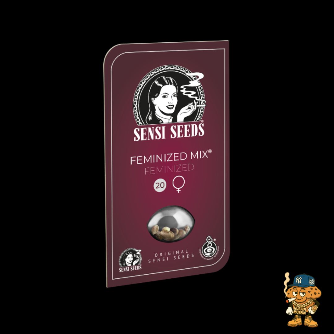 Sensi Seeds Tangerine Sugar 5-Pack