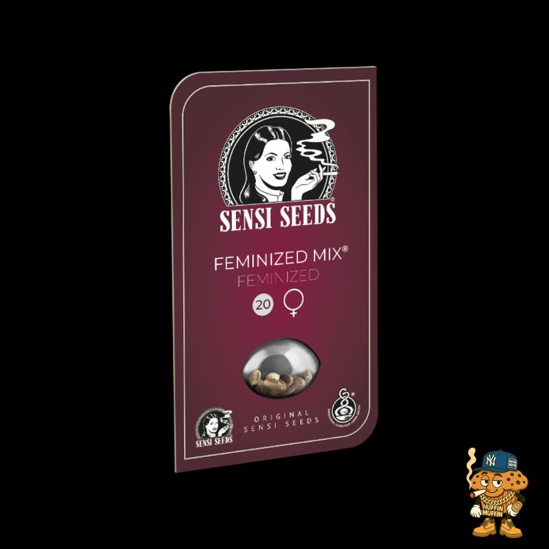 Sensi Seeds Tangerine Sugar 5-Pack