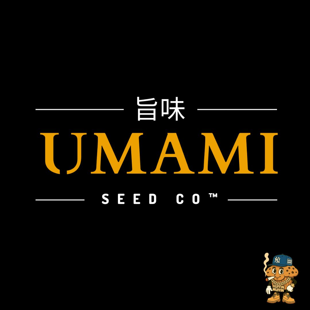 Umami Seed Co 3-Pack Seeds